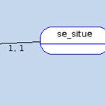 clé étrangère en base de données