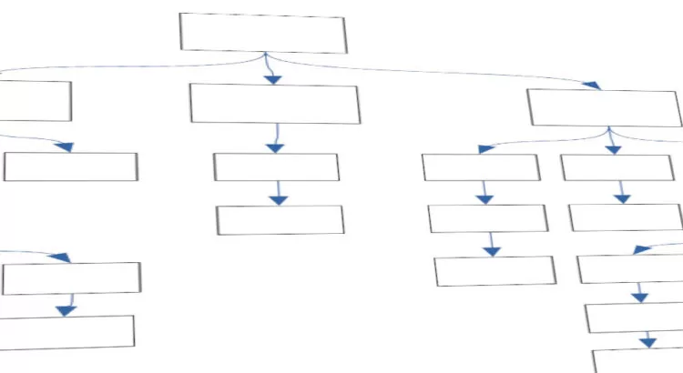 base donnees hierarchique